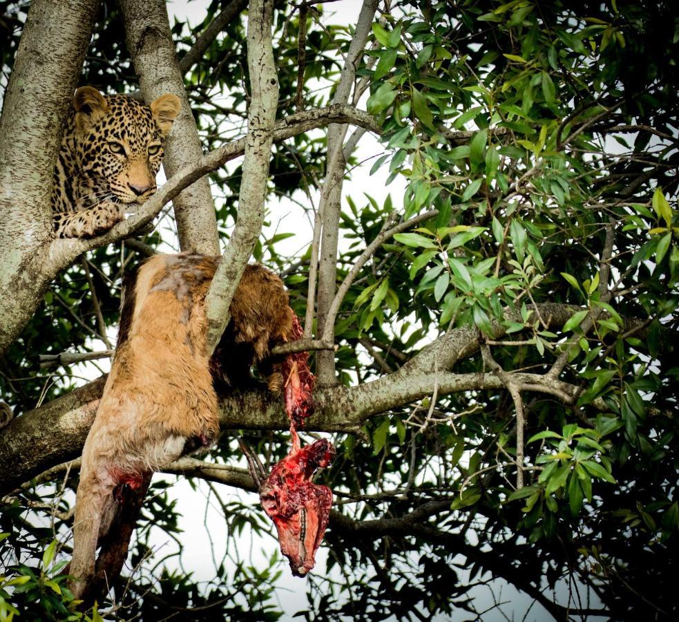 Enkusero Mara Aitong Bagian luar foto